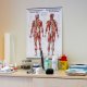 Medizinisch-technische Laboratoriumsassistentin / MTLA (m/w/d), Eisenach - 6