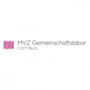 MTLA MTLA (m/w/d) für unser Krankenhauslabor im Naemi-Wilke-Stift Guben in Teilzeit (35h/Woche), Cottbus